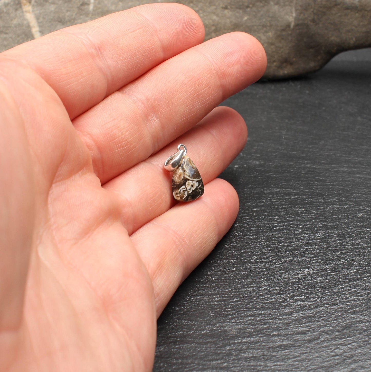 Turritella Agate Pendant - Fossil Pendant