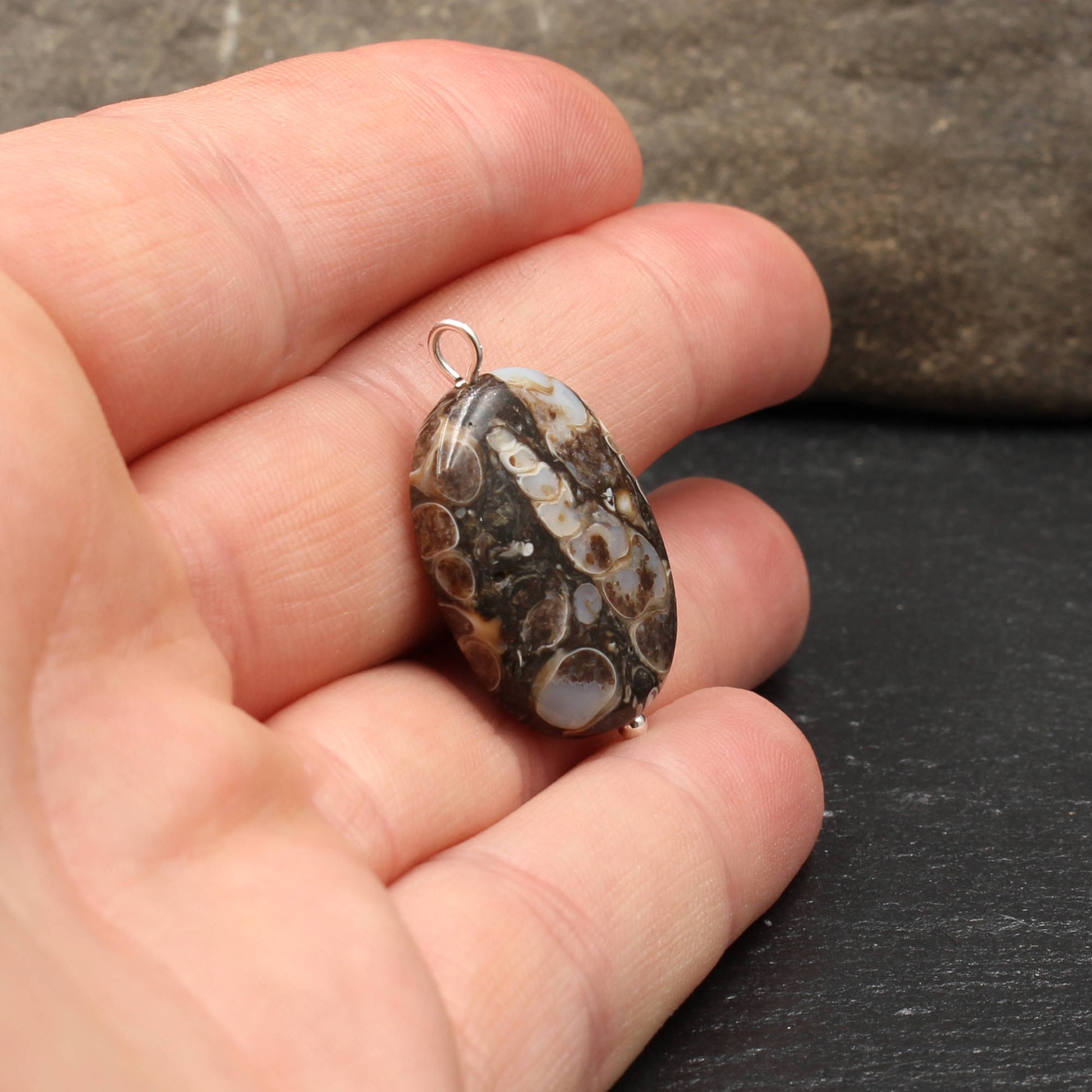 Turritella Achat Anhänger - Fossilien Anhänger