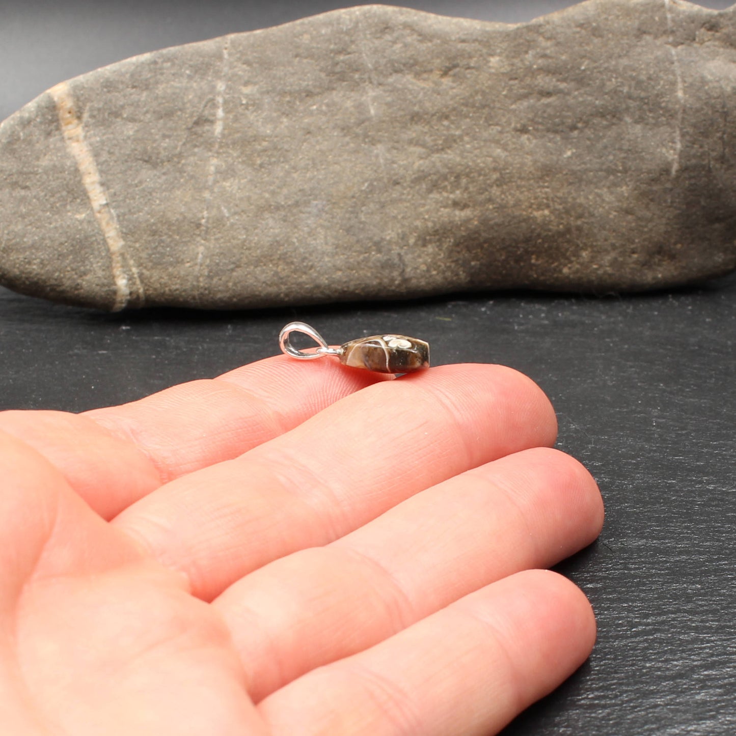 Turritella Agate Pendant - Fossil Pendant