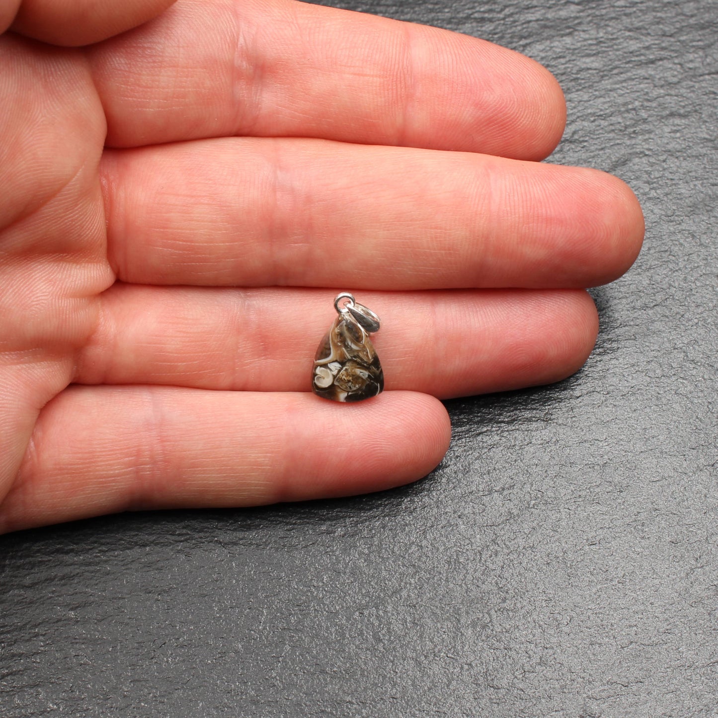 Turritella Agate Pendant - Fossil Pendant