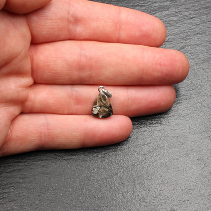 Turritella Agate Pendant - Fossil Pendant