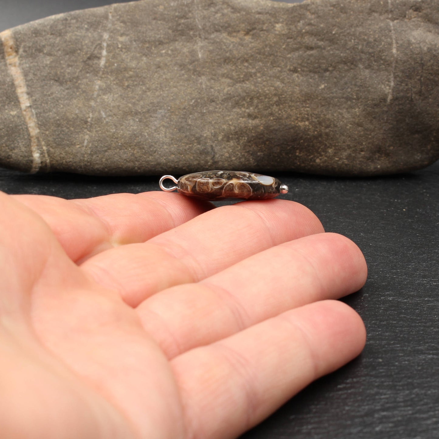 Turritella Achat Anhänger - Fossilien Anhänger