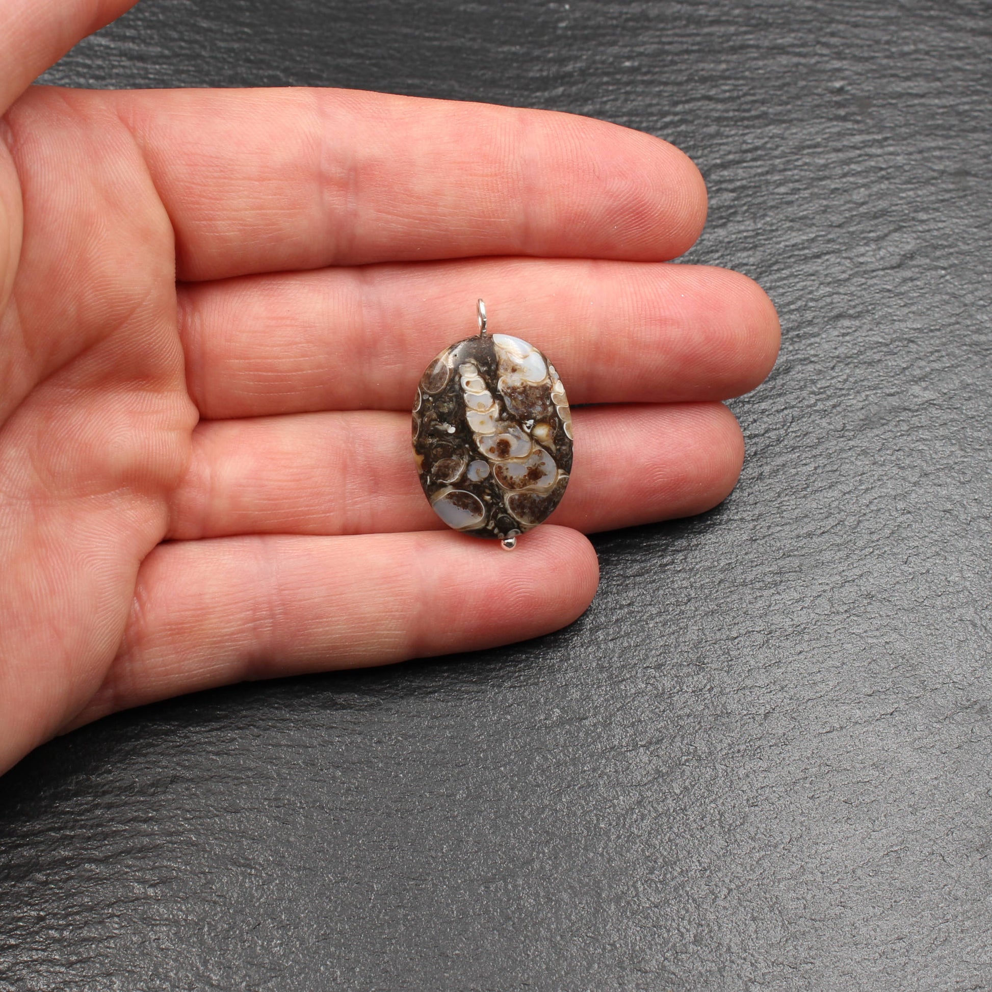 Turritella Achat Anhänger - Fossilien Anhänger
