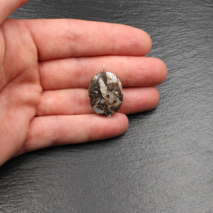 Turritella Achat Anhänger - Fossilien Anhänger