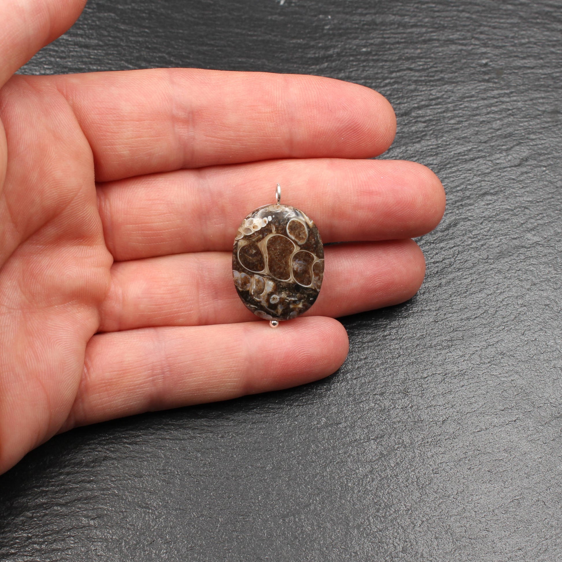 Turritella Achat Anhänger - Fossilien Anhänger