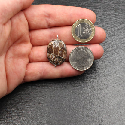 Turritella Achat Anhänger - Fossilien Anhänger