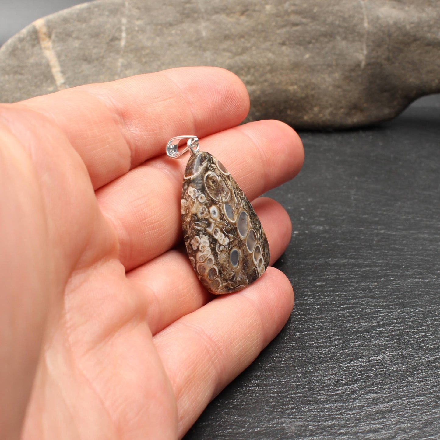 Turritella Agate Pendant - Fossil Pendant