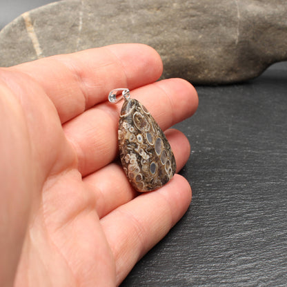 Turritella Agate Pendant - Fossil Pendant