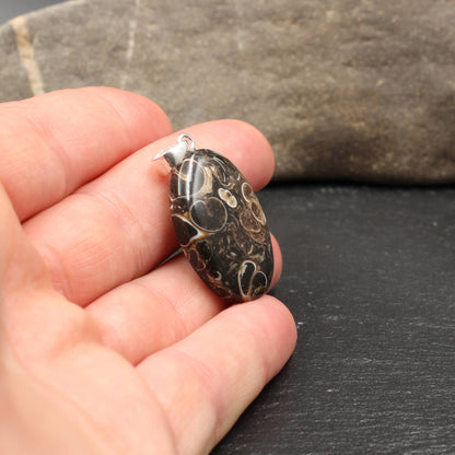 Turritella Achat Anhänger - Fossilien Anhänger