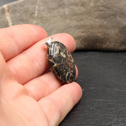 Turritella Achat Anhänger - Fossilien Anhänger
