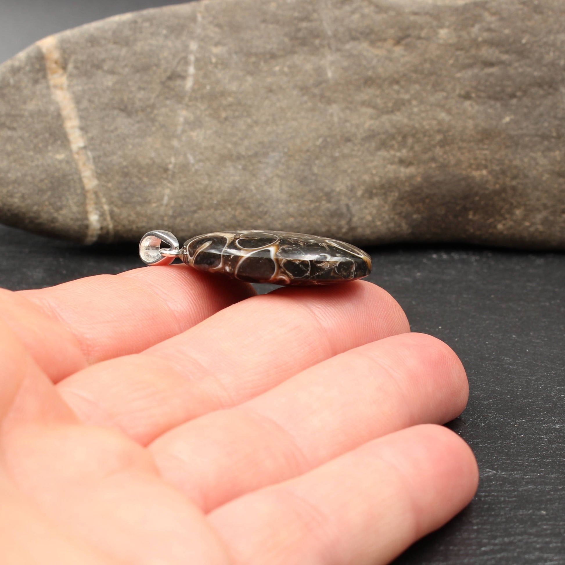 Turritella Achat Anhänger - Fossilien Anhänger