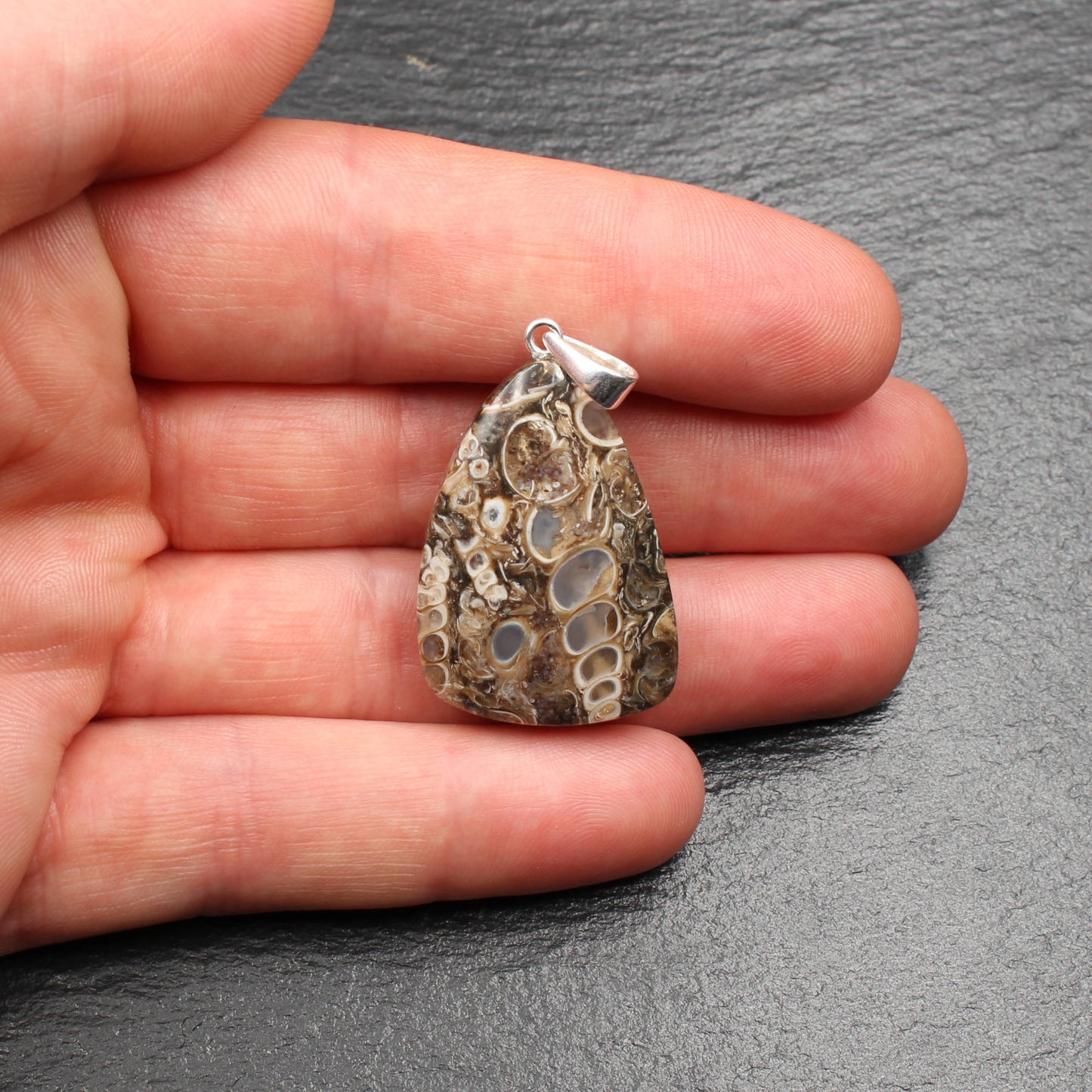 Turritella Agate Pendant - Fossil Pendant