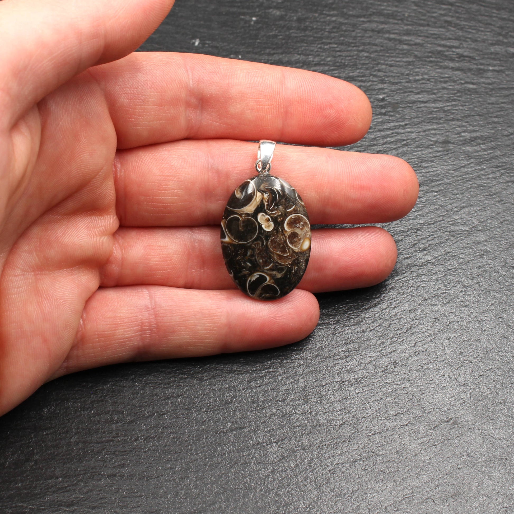 Turritella Achat Anhänger - Fossilien Anhänger