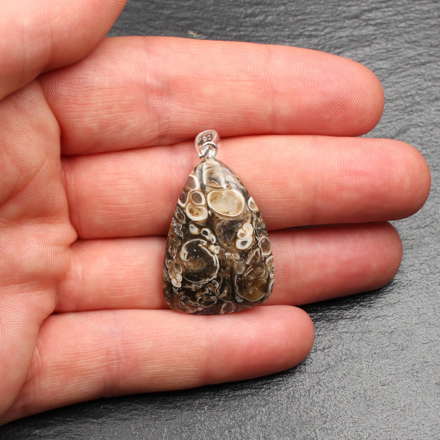 Turritella Agate Pendant - Fossil Pendant