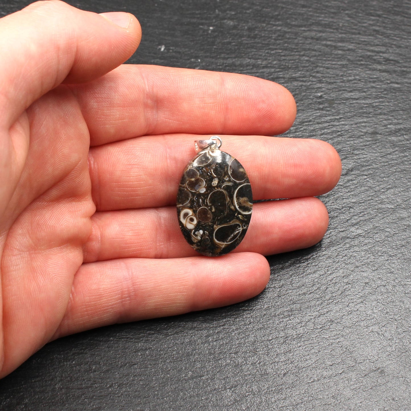 Turritella Achat Anhänger - Fossilien Anhänger