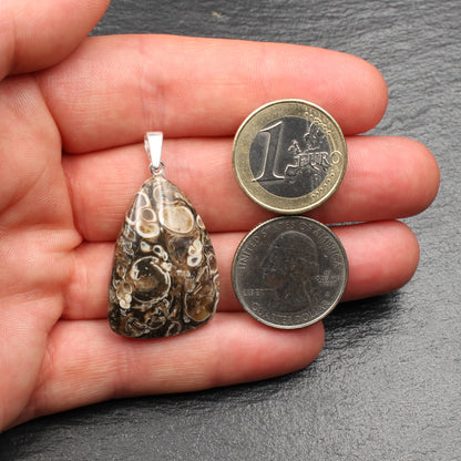 Turritella Agate Pendant - Fossil Pendant