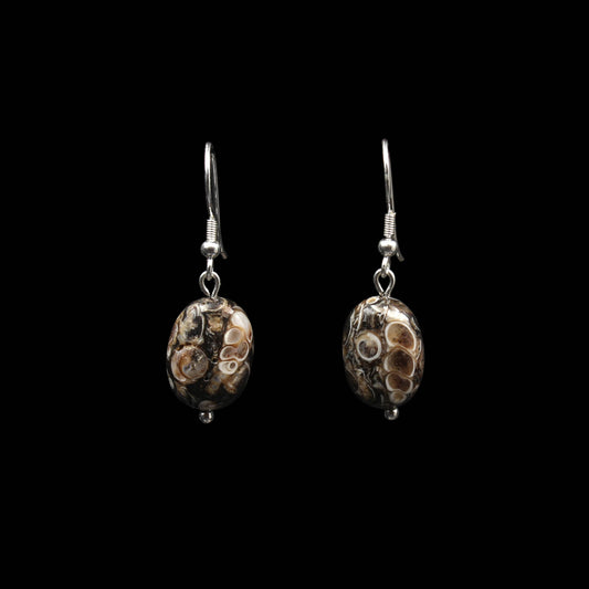 Turritella Achat Ohrringe - Fossilien Ohrringe