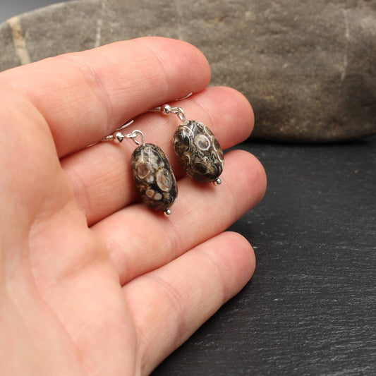 Turritella Achat Ohrringe - Fossilien Ohrringe