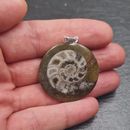 Ammonit Fossil Anhänger - Handarbeit