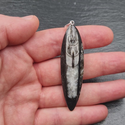 Large Orthoceras Fossil Pendant - Handmade