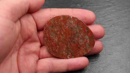 Scottish Lewisian Gneiss - Polished Slice