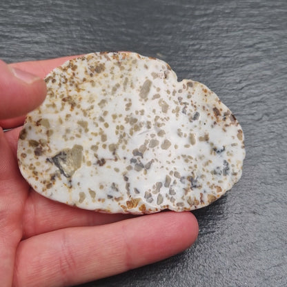 Scottish Iona Marble - Polished Slab