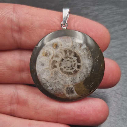 Ammonite Fossil Pendant - Handmade