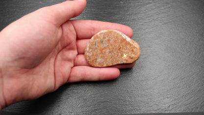 Scottish Lewisian Gneiss - Polished Slice