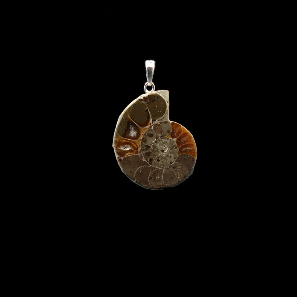 Ammonite Fossil Pendant - Handmade