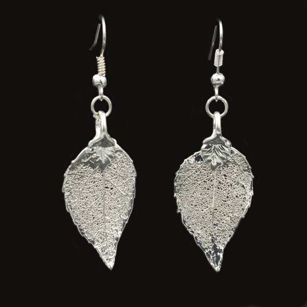 Lorbeerblatt Ohrringe in Silber