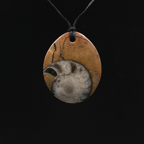 Ammonite Fossil Pendant - Handmade