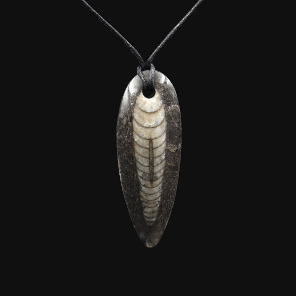 Orthoceras Fossil Pendant - Handmade