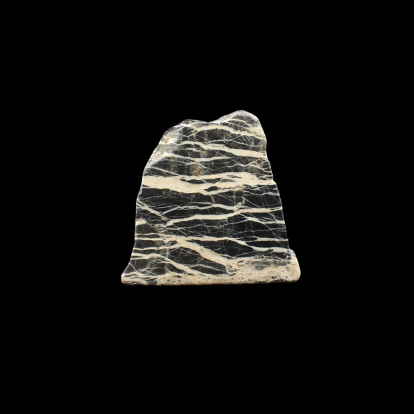 Scottish Highland Limestone - Polished Slice