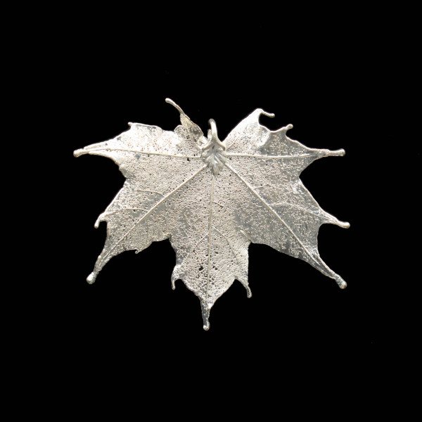 Canadian Maple Leaf - Silver Plated