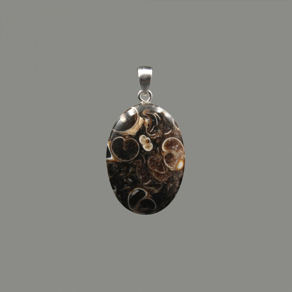 Turritella Agate Pendant - Fossil Pendant