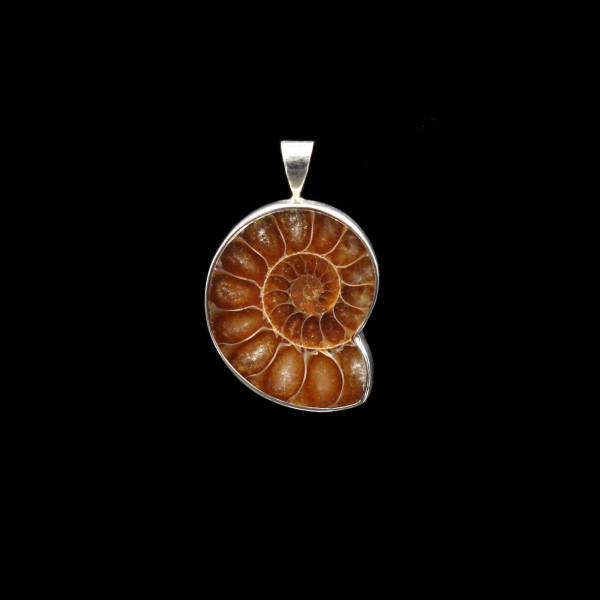 Ammonite Fossil Pendant - Silver