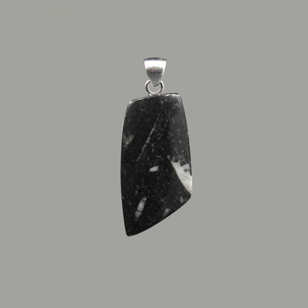 Orthoceras Fossils In Black Limestone Pendant - Handmade