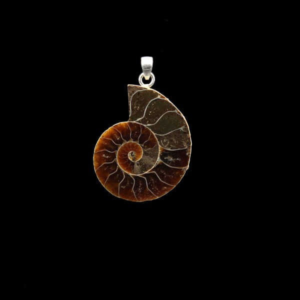 Ammonite Fossil Pendant - Handmade